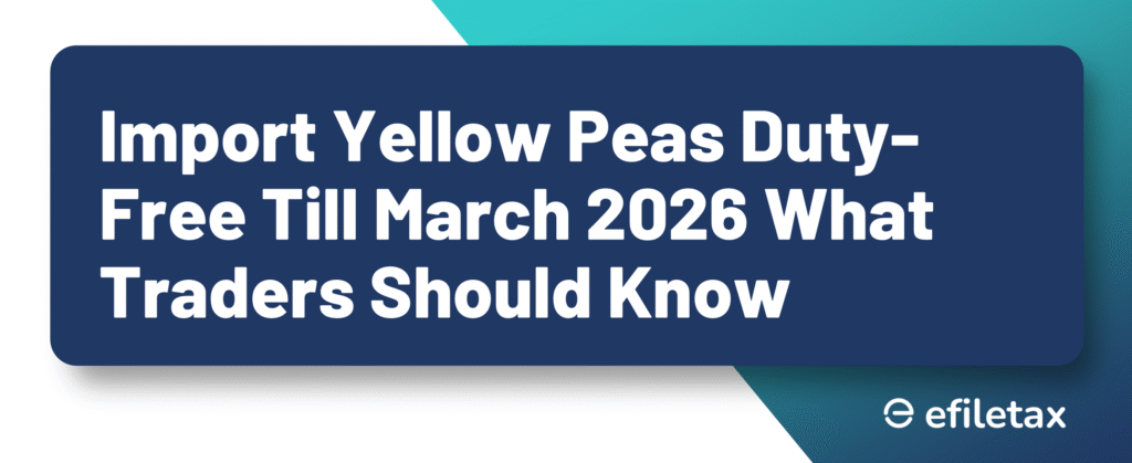 Import Yellow Peas Duty-Free Till March 2026 What Traders Should Know