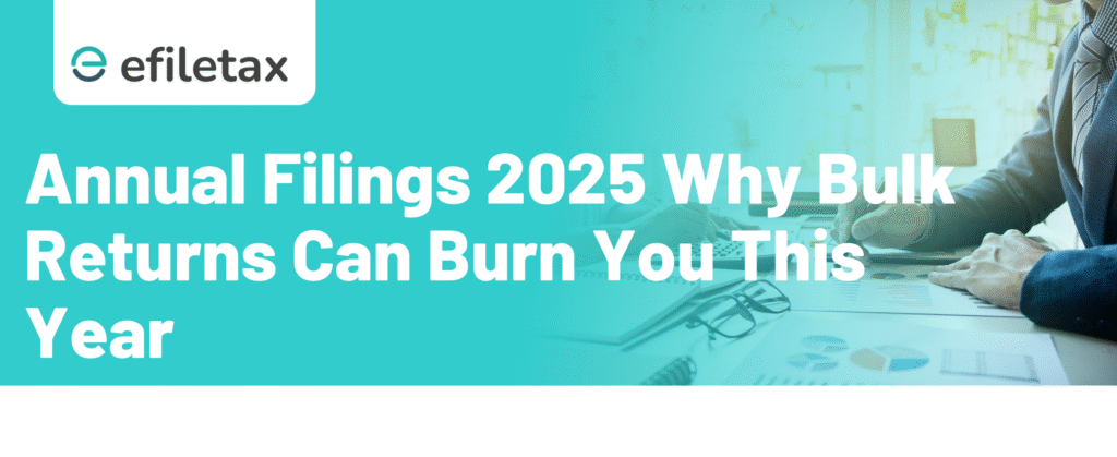 Annual Filings 2025 Why Bulk Returns Can Burn You This Year